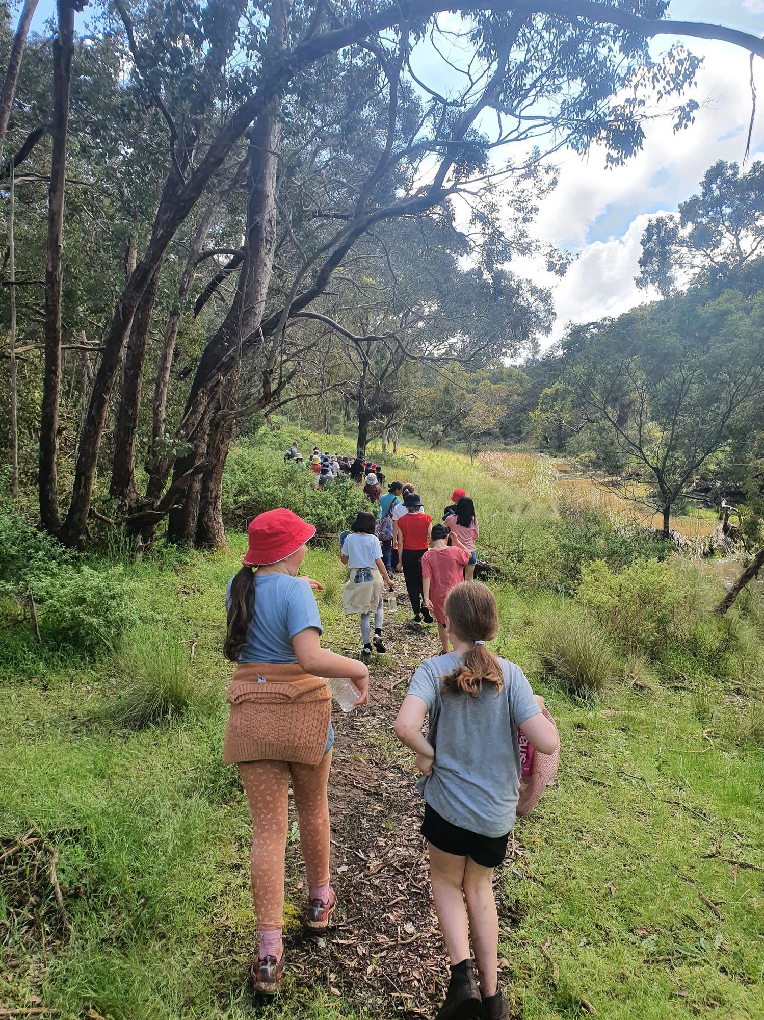 Students bushwalking single file through Long Forest on the Walk In