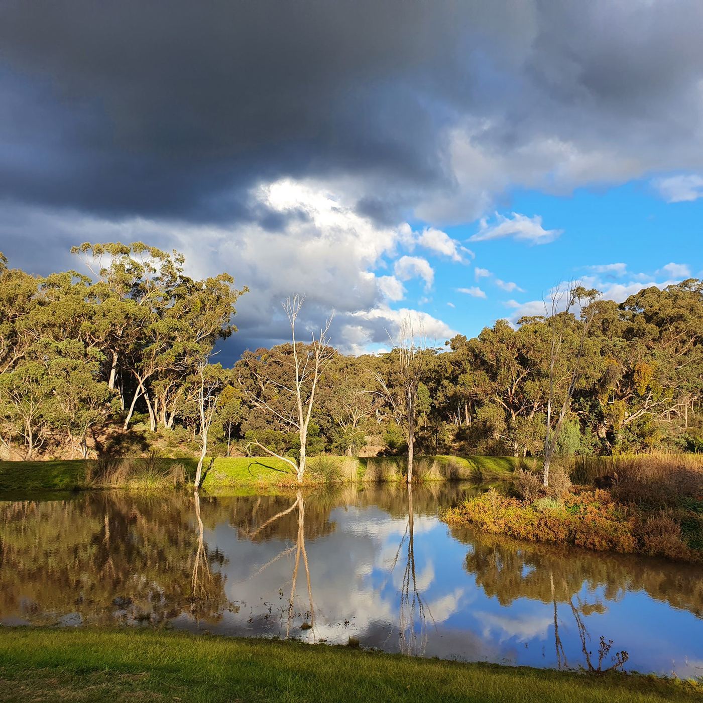 The spring-fed dam at Sunnystones surrounded by bushland under a dramatic sky