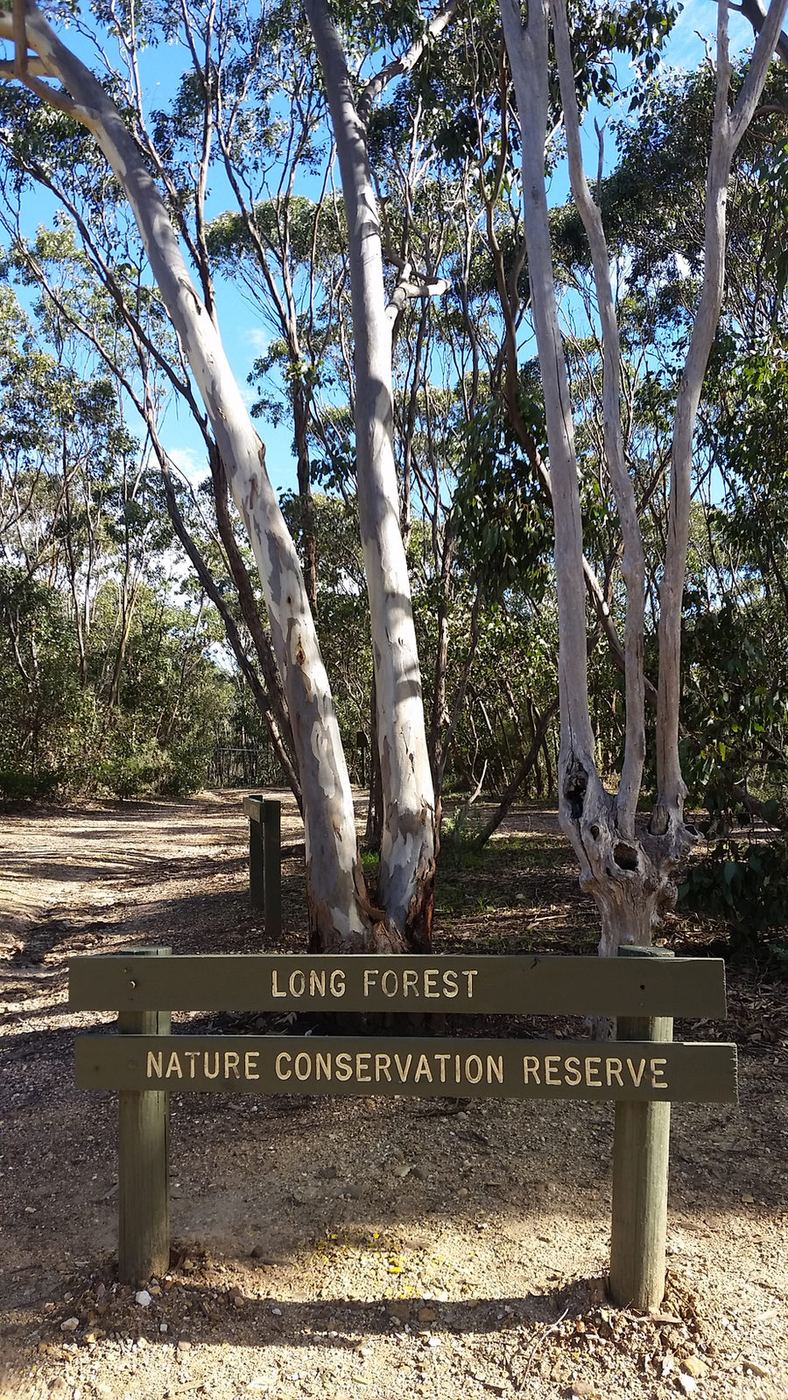 The Long Forest Nature Conservation Reserve sign among tall gum trees at the property edge