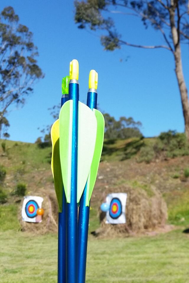 Brightly fletched arrows in front of a target