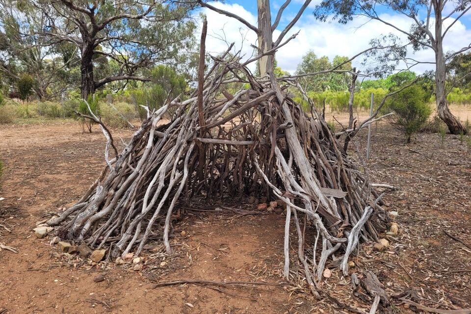 A bush hut built from fallen branches