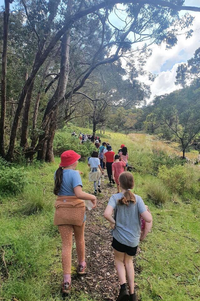 Students bushwalking into Long Forest on the Walk In