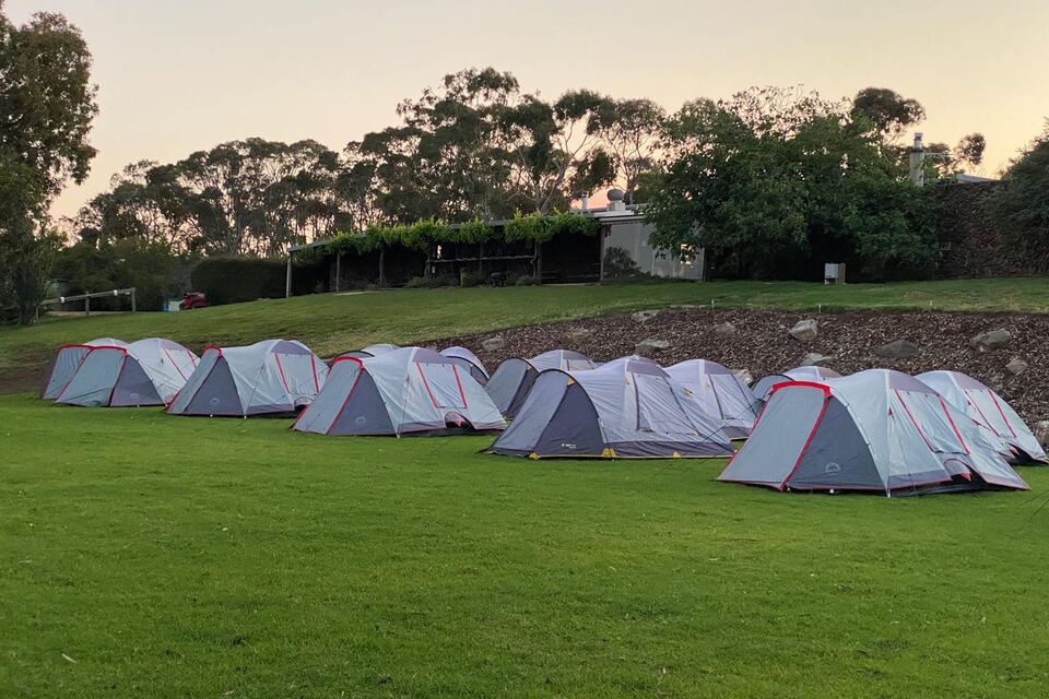 Tents lined up on the green lawn