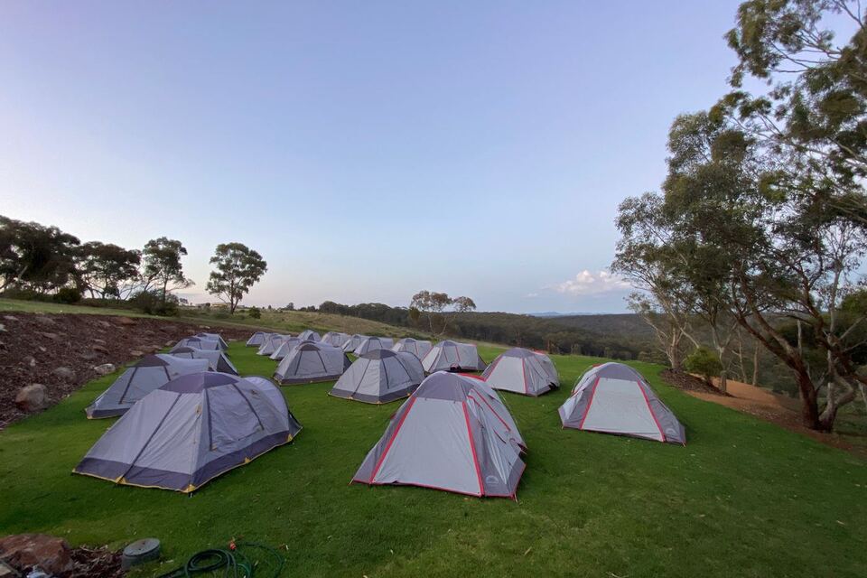 Campout tents on the lawn at dusk