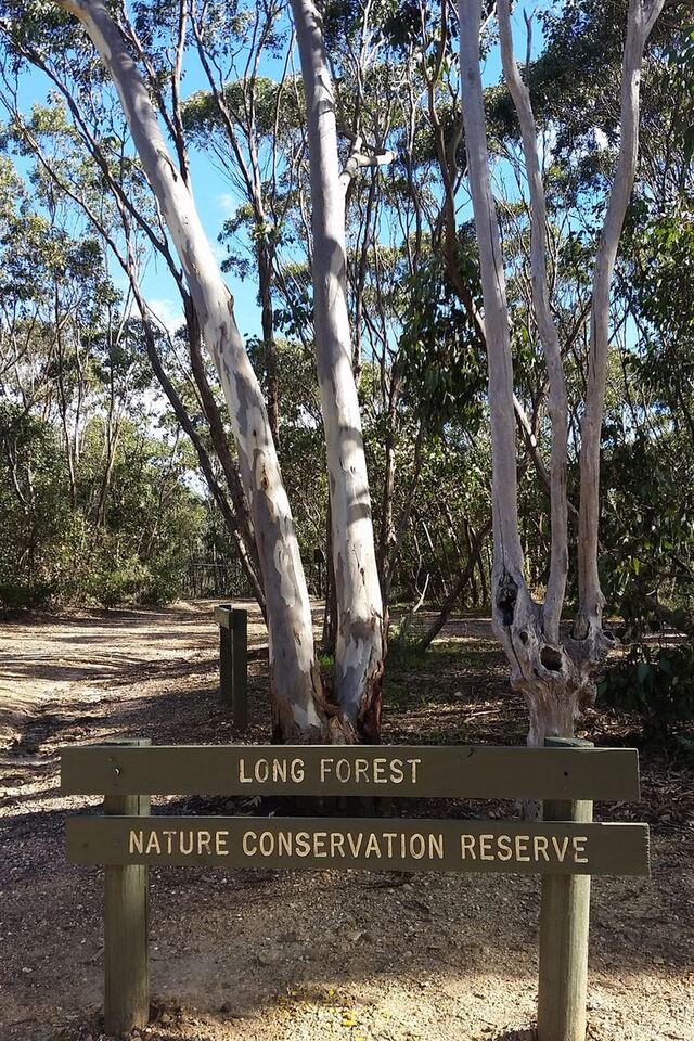 Long Forest reserve sign among the gums