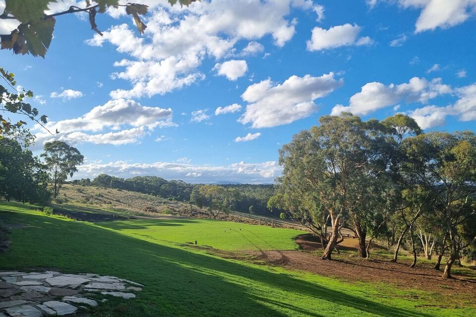 The green valley under a bright blue sky