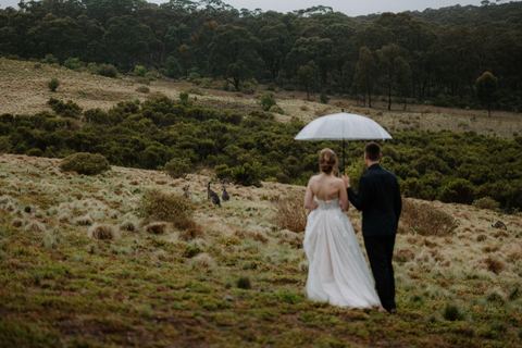 A couple walking hand in hand across a misty paddock under an umbrella