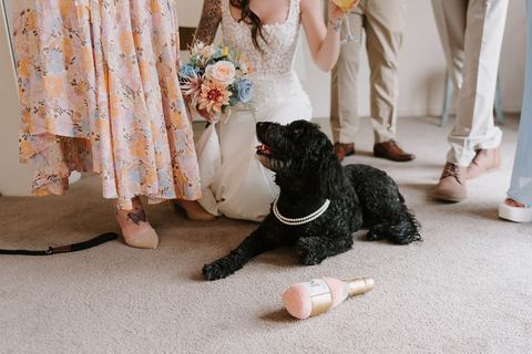 A candid getting-ready moment with the wedding dress and the family dog